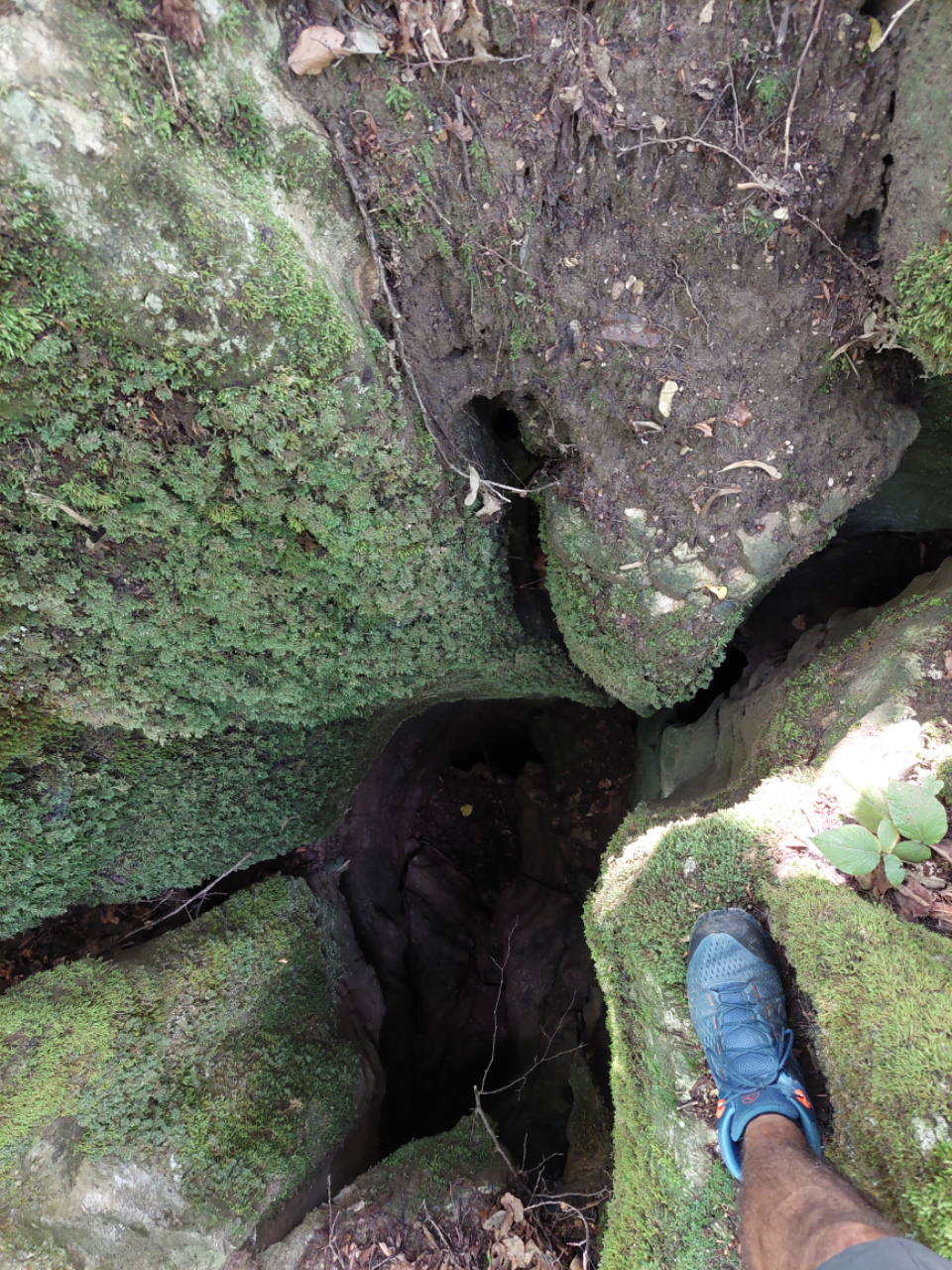 Avenul cu Trei Intrări - Image 2